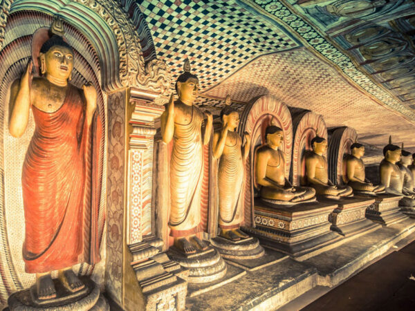 Highlights Of Sri Lanka