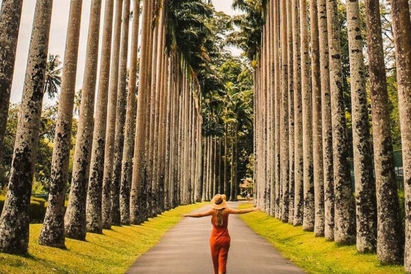 Ultimate Sri Lanka (11 Days / 10 Nights)